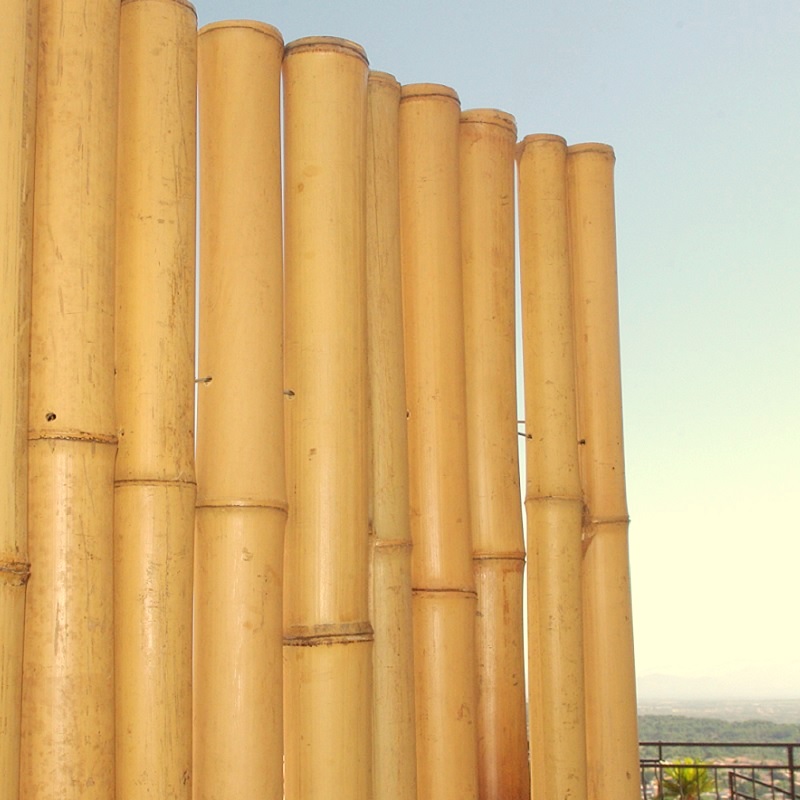 Clôture Bambou Naturel Gamme Zen Régulier ORIN / RZF150 – Image 2