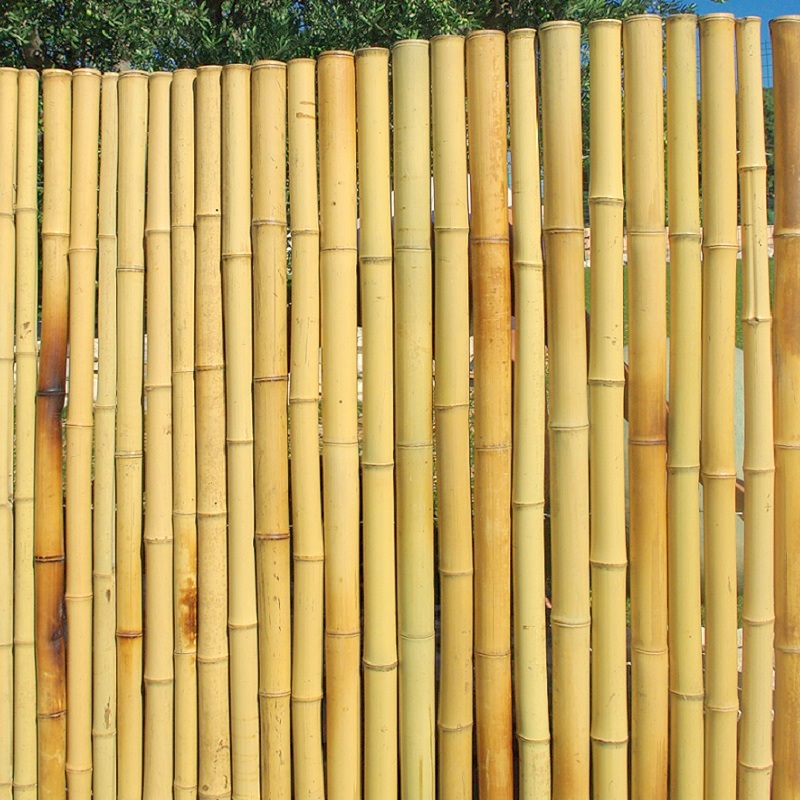 Clôture Bambou Naturel Gamme Zen Régulier ORIN / RZF150