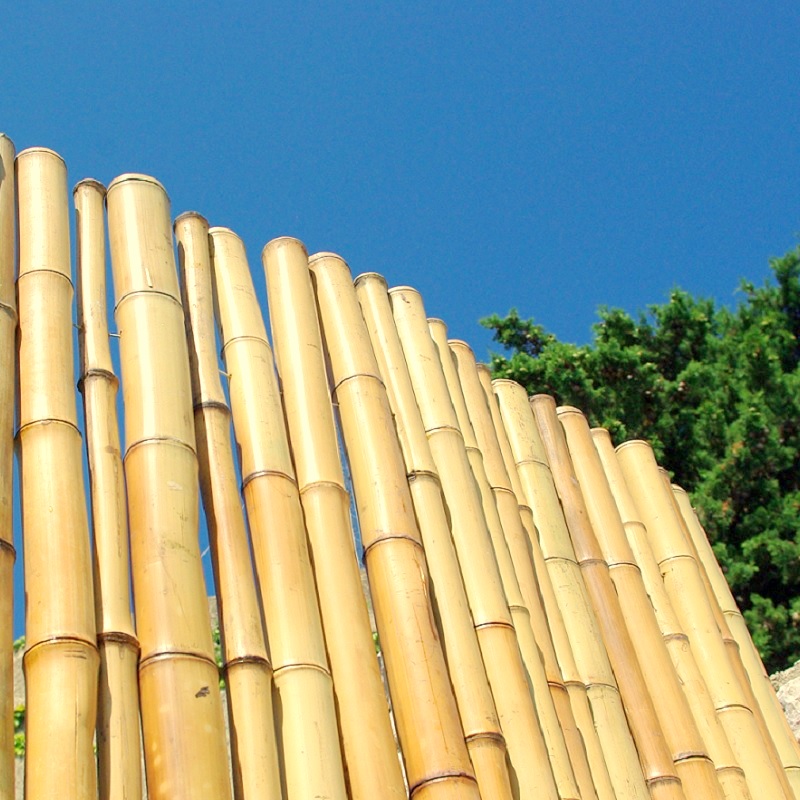 Clôture Bambou Robuste Naturel Gamme Zen Régulier PHAR / RZF250 – Image 4
