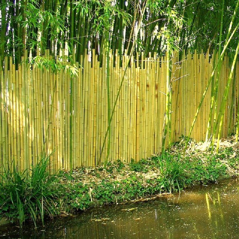 Clôture Bambou Naturel et Zen gamme Japonaise irrégulière SURO / 5-JF150 – Image 5