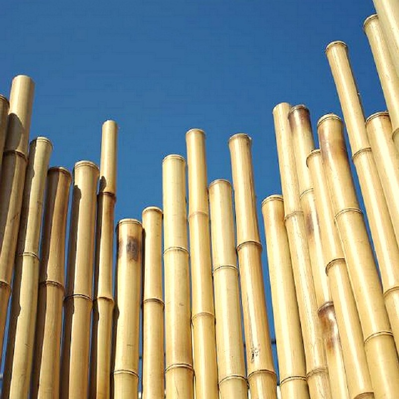 Clôture Bambou Naturel et Zen gamme Japonaise irrégulière SURO / 5-JF150 – Image 6