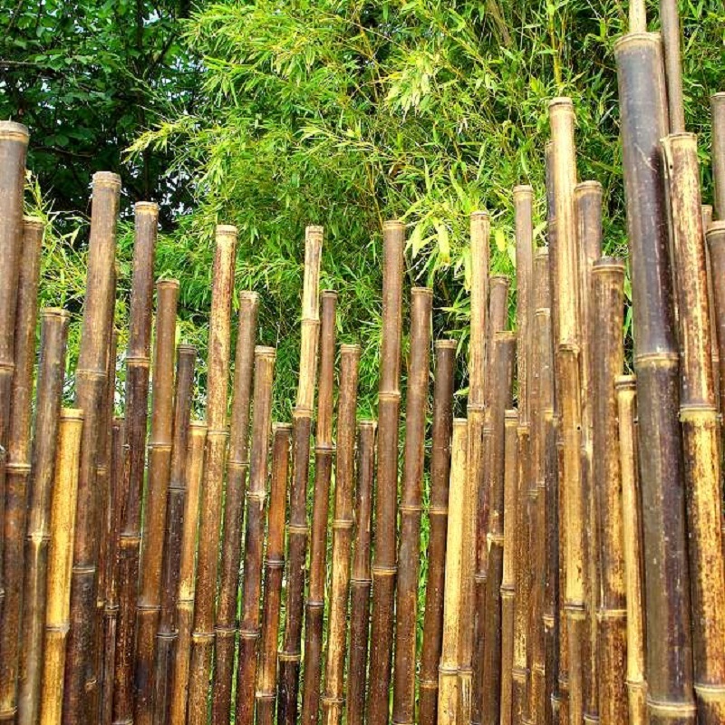 Clôture Bambou, Barrière Noir gamme Japonaise Irrégulière NINI / 5-JBF200 – Image 3