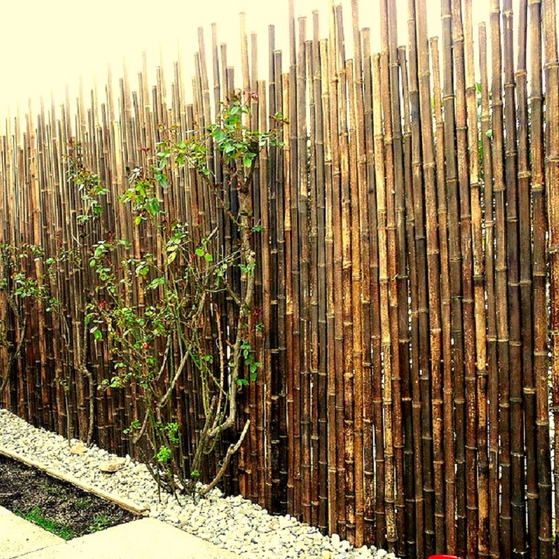 Clôture Bambou, Barrière Noir gamme Japonaise Irrégulière NINI / 5-JBF200 – Image 4