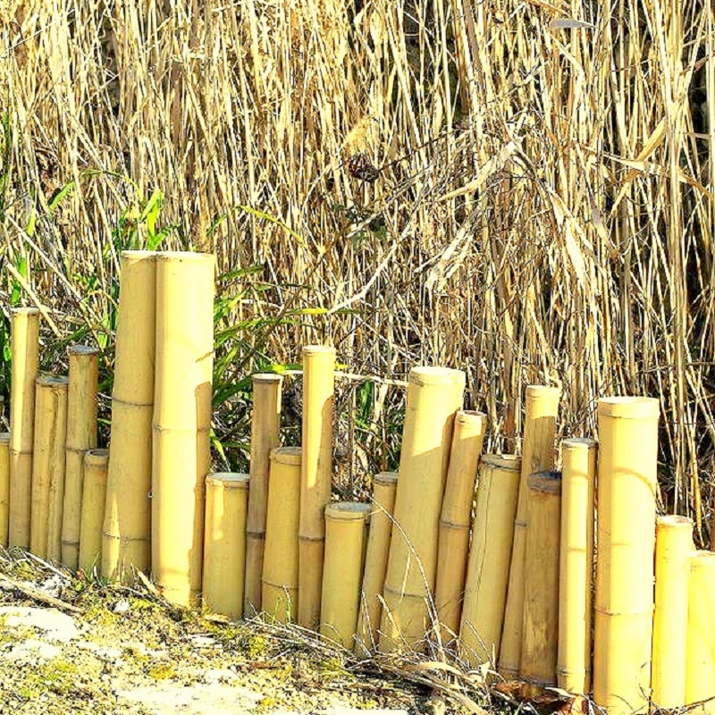 Lot de 2 Bordures de Jardin en Bambou Naturel Zen XIAO / ZF050 – Image 3