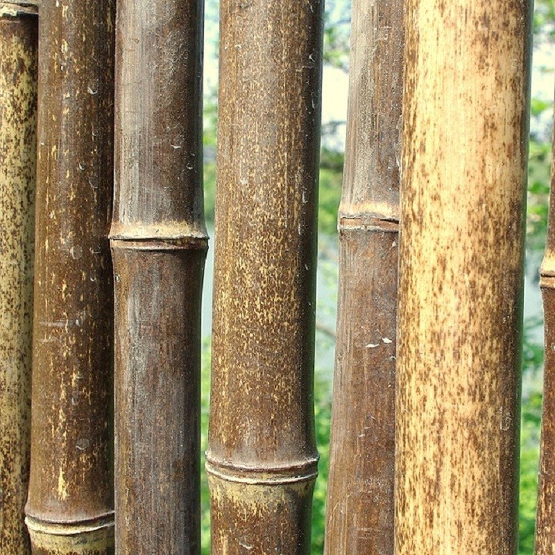 Clôture Bambou, Séparation Jardin Noir Gamme Régulière DOMI / 2-RBF250 – Image 6