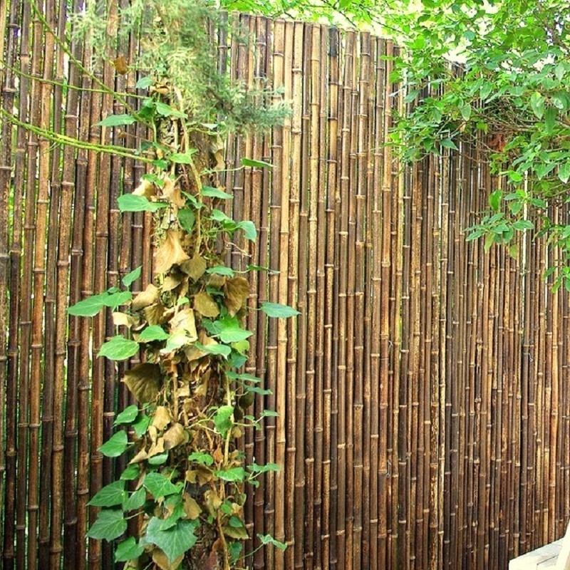 Clôture Bambou, Séparation Jardin Noir Gamme Régulière DOMI / 2-RBF250