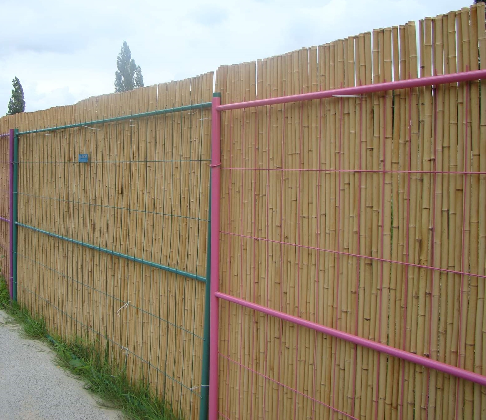 Clôture, Panneau Bambou Naturel Palissade Gamme Régulière DIMO / 2-RF250 – Image 2