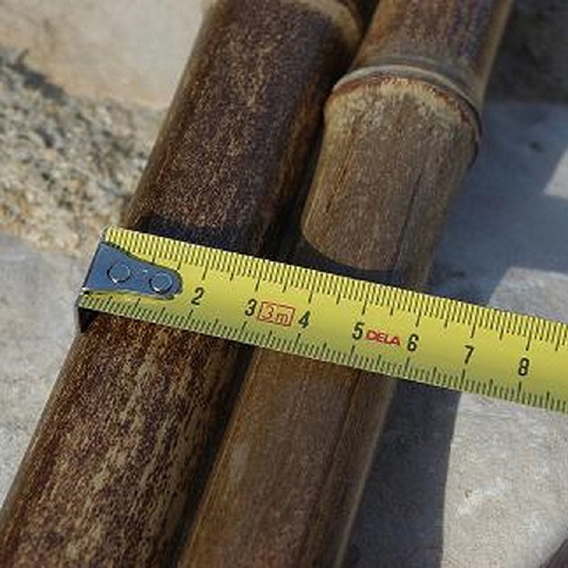 Lot de 10 tiges de Bambou Noir MONI / TB2-300 – Image 4