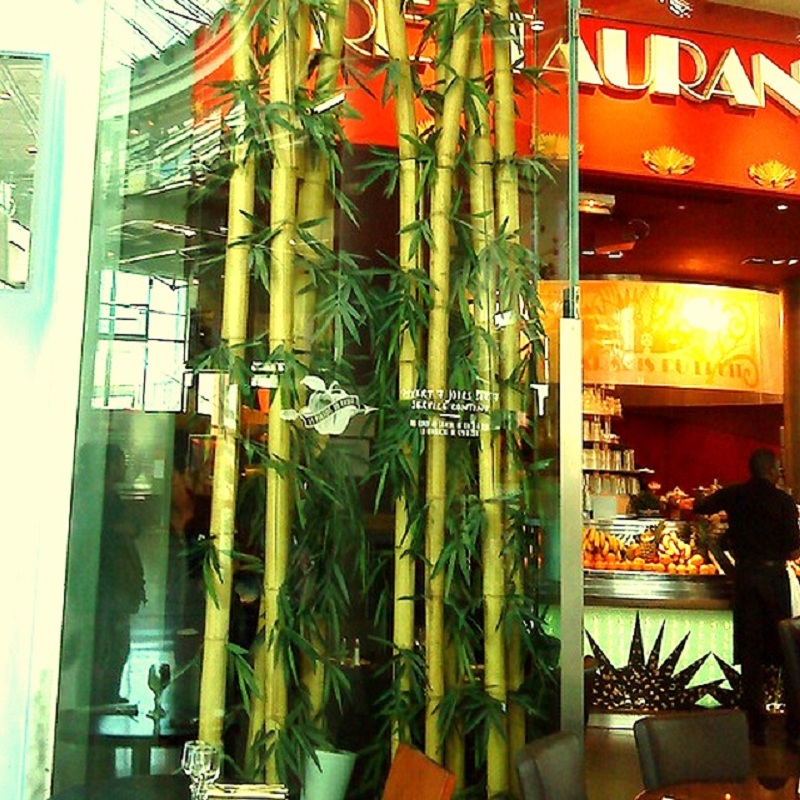 Lot de 2 tiges de Bambou Naturel FESU / T10-300 – Image 3