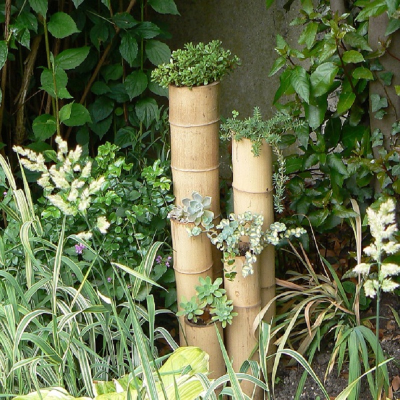 Lot de 2 Tiges de Bambou Naturel Décorative LIMA / T12-300 – Image 4