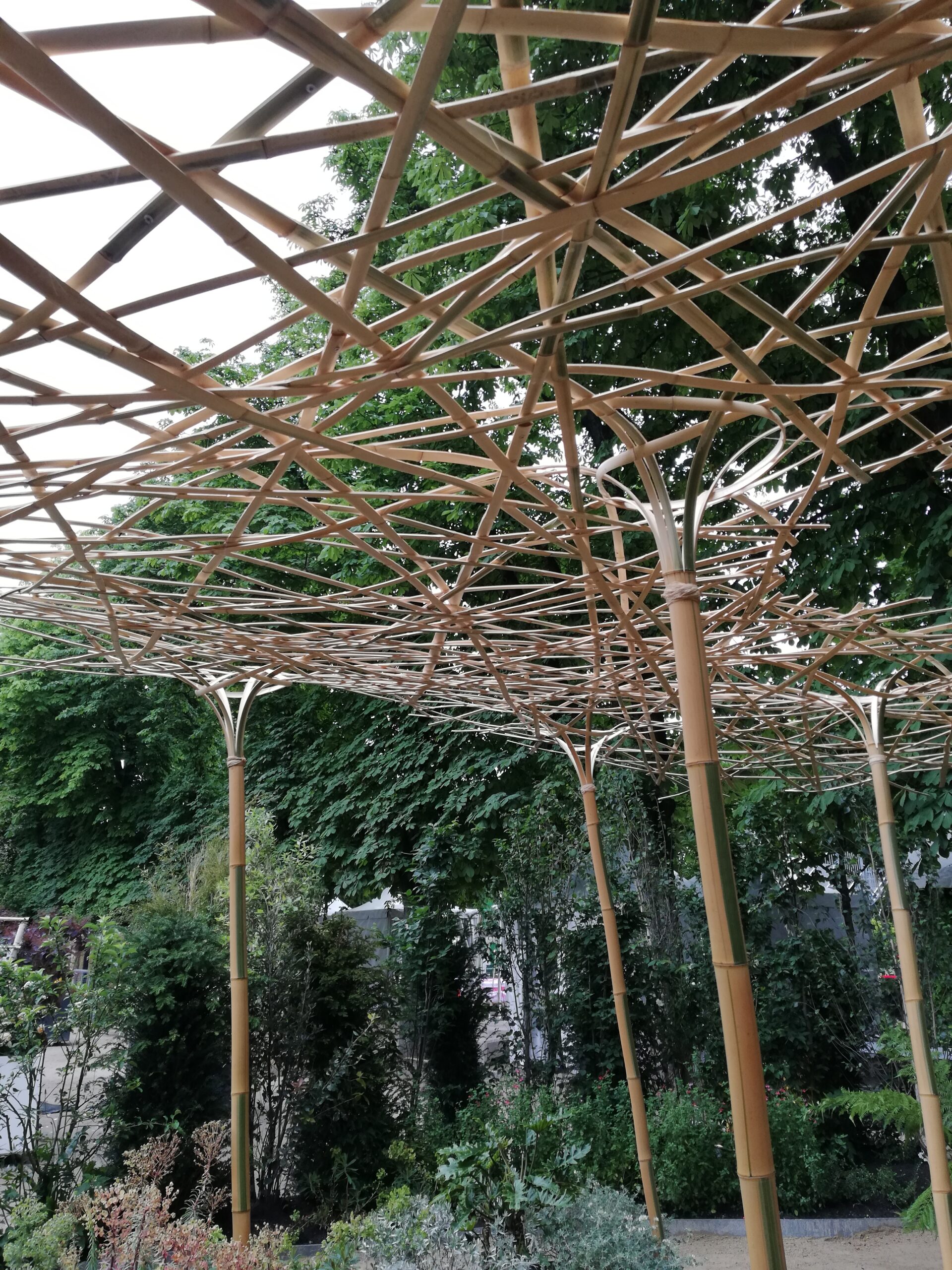 Lot de 8 Tiges de Bambou, Chaumes Naturel ZITO / T05-300 – Image 3