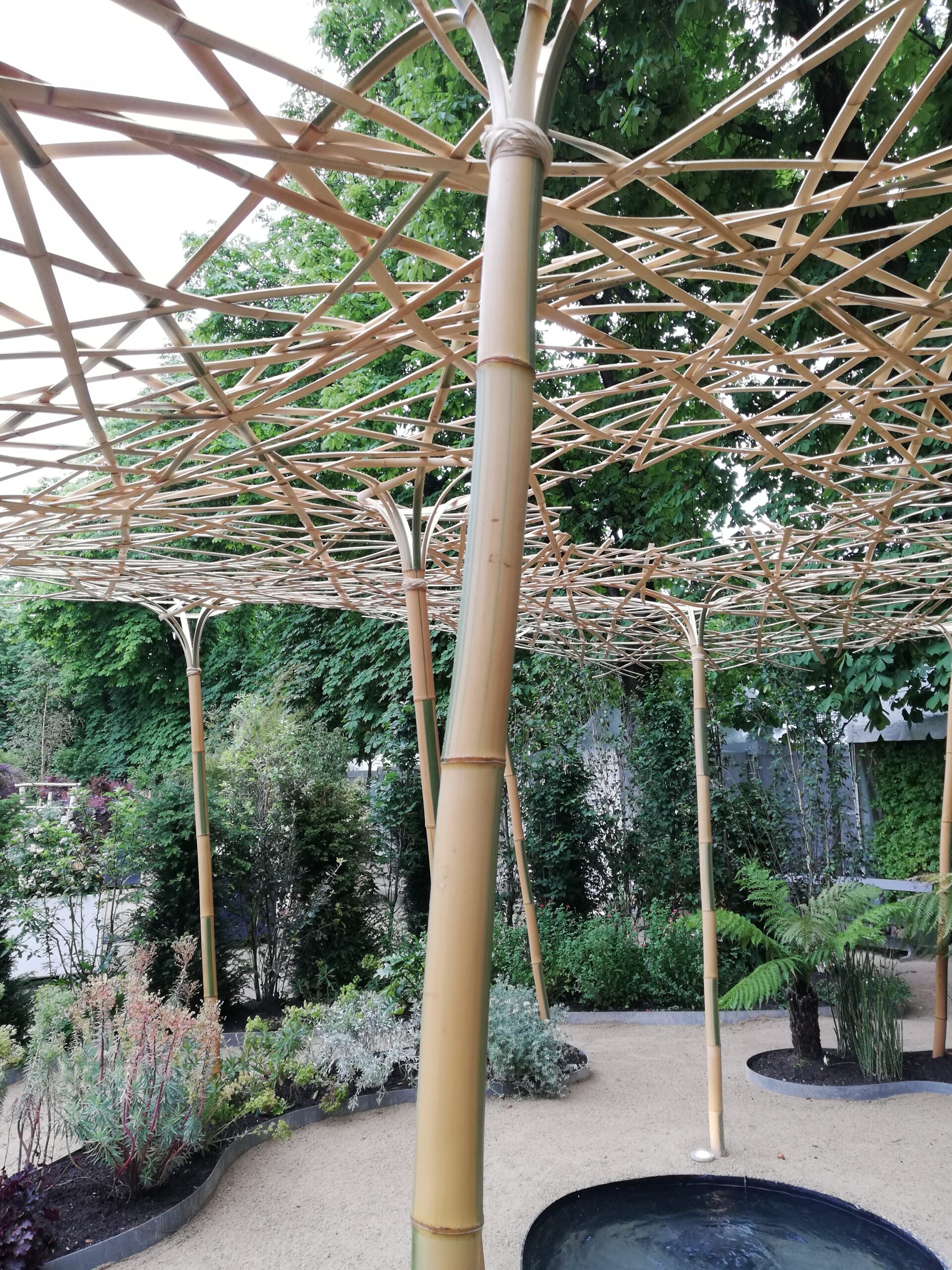 Lot de 8 Tiges de Bambou, Chaumes Naturel ZITO / T05-300 – Image 4